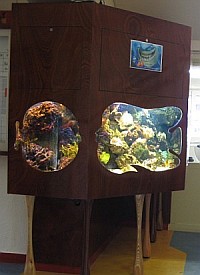 Houten rifaquarium